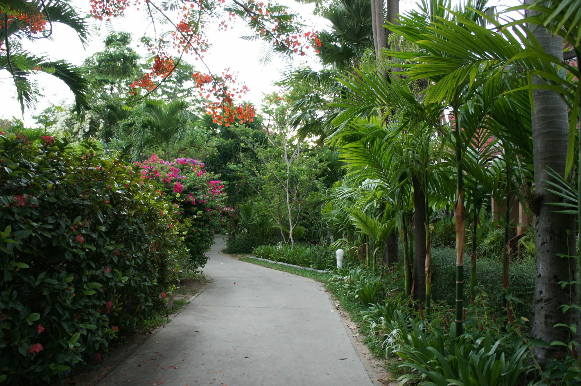 Palm Village Курортный комплекс Rawai