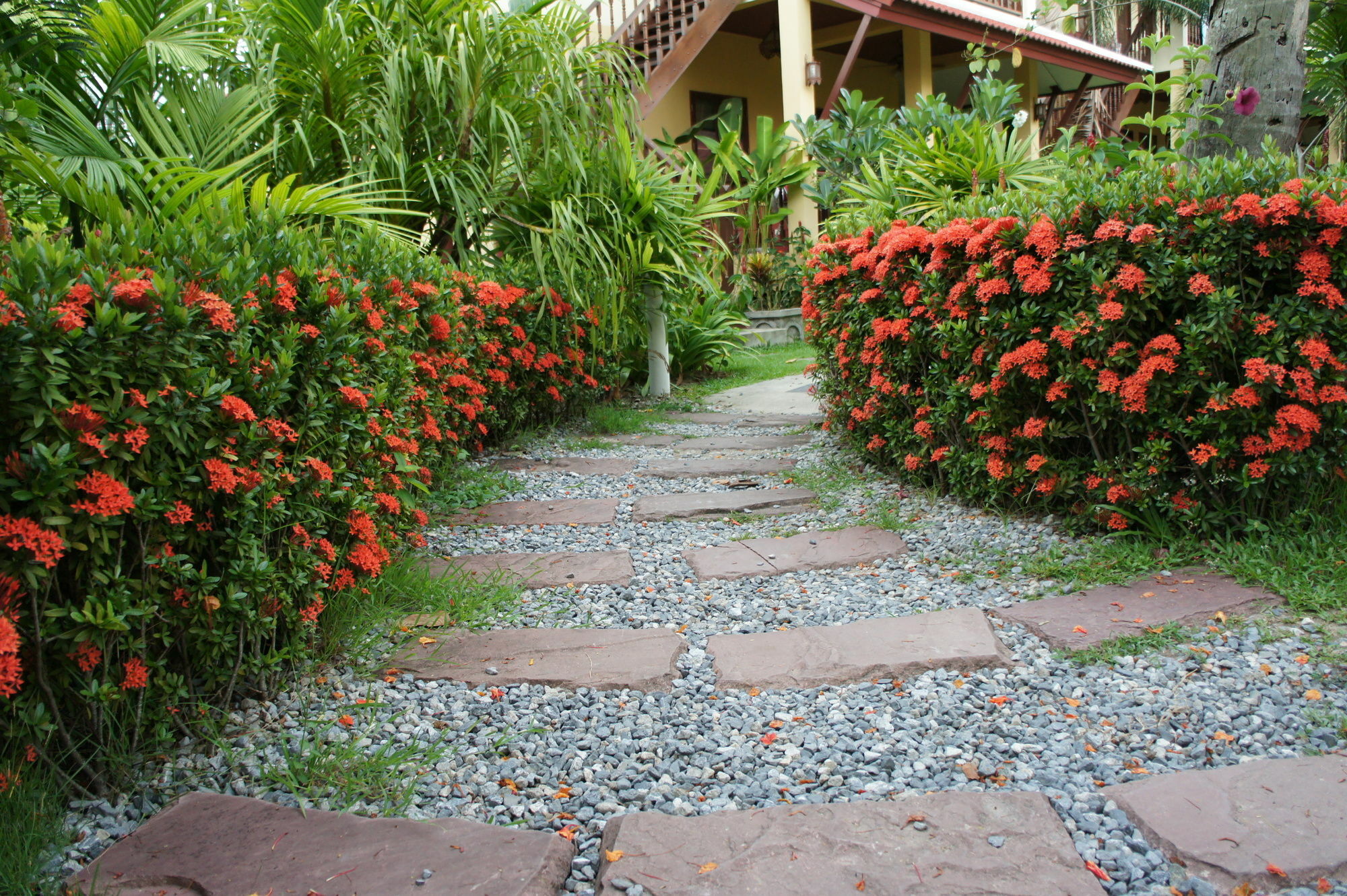 Palm Village Курортный комплекс 3*